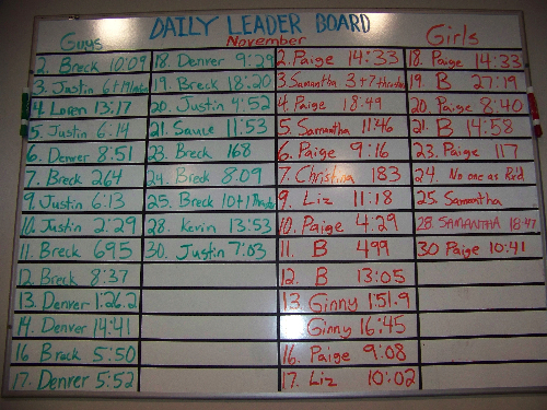 November Daily Leader Board