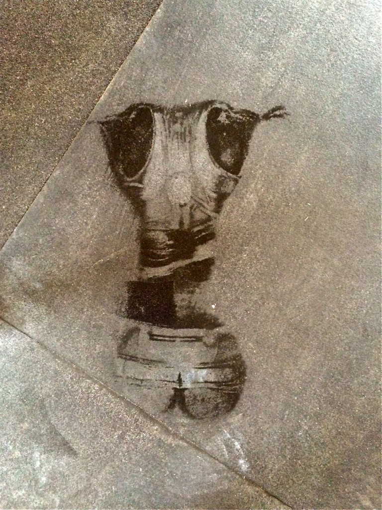 Sweat Angel
